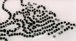 Image of cane toad eggs showing the strings of eggs.  Most native species lay clumps of eggs.
